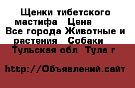 Щенки тибетского мастифа › Цена ­ 80 - Все города Животные и растения » Собаки   . Тульская обл.,Тула г.